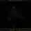 No More probes