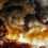 Dragons Dogma: Dark Arisen