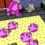 King Voxel