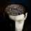 MIND CHAMBERS