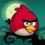 Angry Birds: Seasons