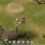 Arkeos Chronicle, Fantasy RPG, Android, PC