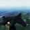 Airframe