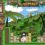 Air Mail (PC / Mac OS X / iPhone / iPod)