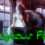 Anonymous Agony: File #1 - Contamination