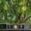 Age of Wonders: Antologia