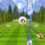 Archery Bowmaster 3D
