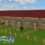 Jumpy Horse Breeding