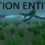 Action Entities