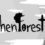 AshenForest