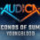 AUDICA - 5 Seconds of Summer - "Youngblood"
