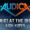 AUDICA - Panic! At The Disco - "High Hopes"