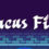 Abacus Finch