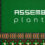 Assembly Planter