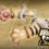 WARRIORS OROCHI 4 Ultimate - Weapon `Feline Paws`