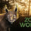 Zoo World VR