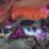 Age of Wonders: Planetfall - Invasion