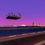 An Airport for Aliens Currently Run by Dogs