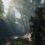 A Walk in the Woods: VR