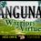 Anguna - Warriors of Virtue