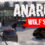 Anarchy: Wolf's law