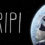 Aripi