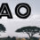 BAO