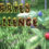 Berries Challenge