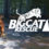 Big Cat Rescue VR