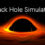 Black Hole Simulator