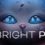 Bright Paw