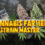 Cannabis Farmer Strain Master