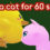 Catch a cat for 60 seconds