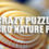 Crazy Puzzle -Macro Nature