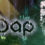 Dap