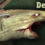 Depth - Deadeye Bigeye Thresher Skin