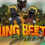 Dung Beetle Strike
