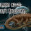 Fantasy Grounds - Starfinder RPG - Starfinder Society Scenario #2-22: Rasheen's Reception