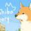A Shiba Story