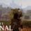 Into The Eternal