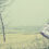 Keep looking