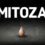 Mitoza