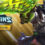 Paladins Gold Edition