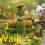 Park Walk