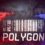 POLYGON: Multiplayer Shooter