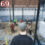 Prison 69