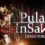 Pulang Insanity - Director's Cut