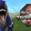 Raptor Territory