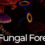 Realm Engine Fungal Forest Asset Pack