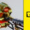 Robotbot Gold Skin